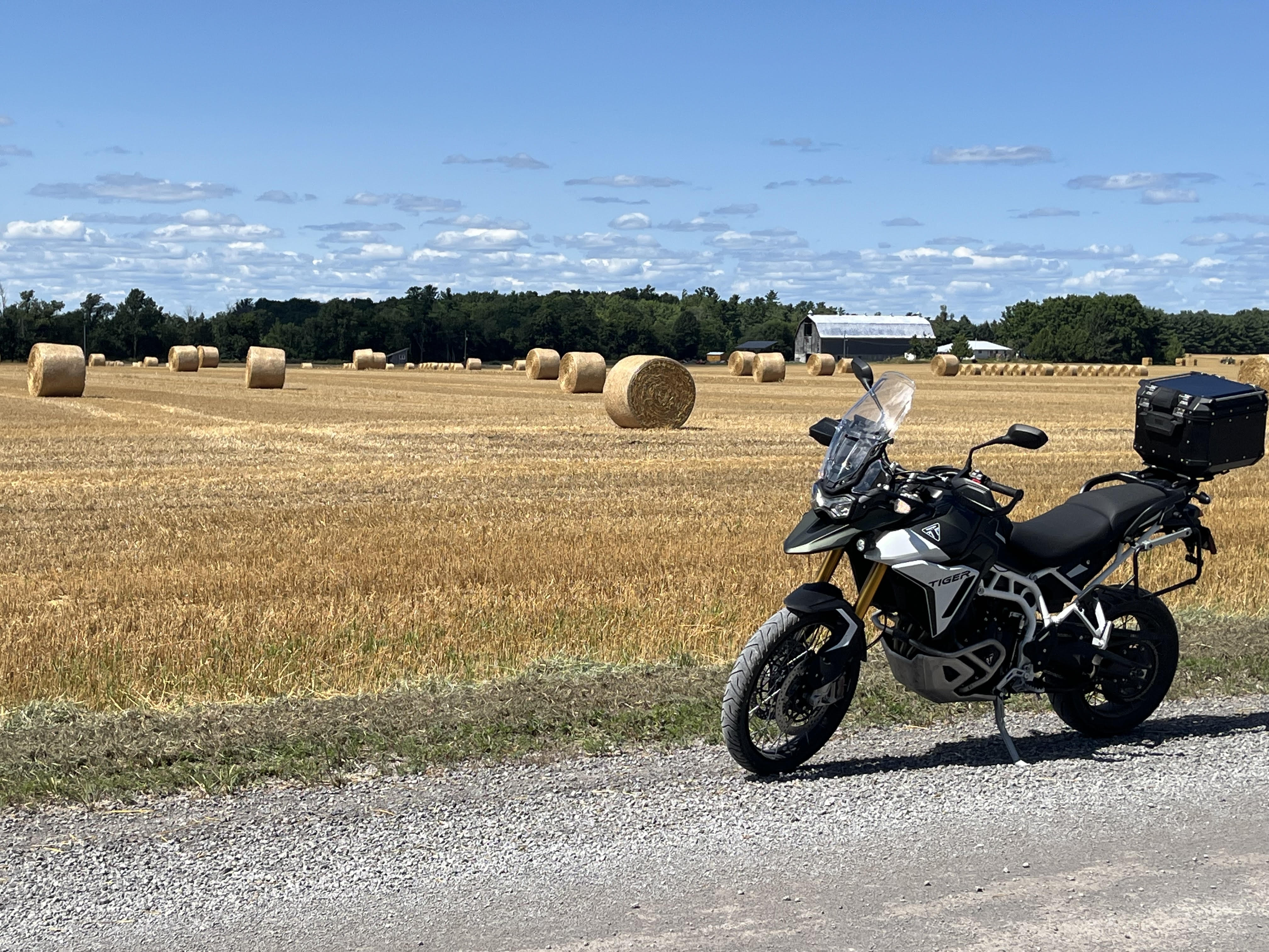 Triumph Tiger 900 Rally Pro