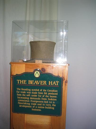 Beaver Hat