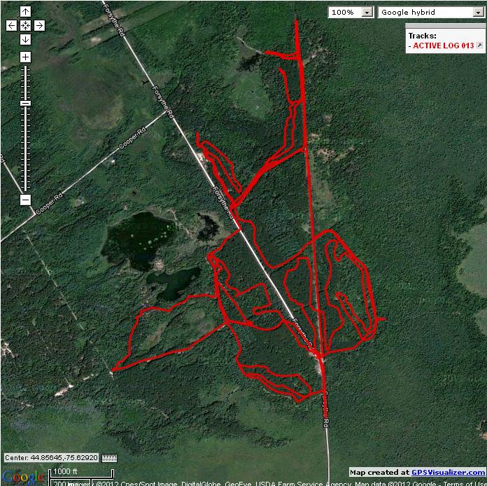 Limerick Forest Track