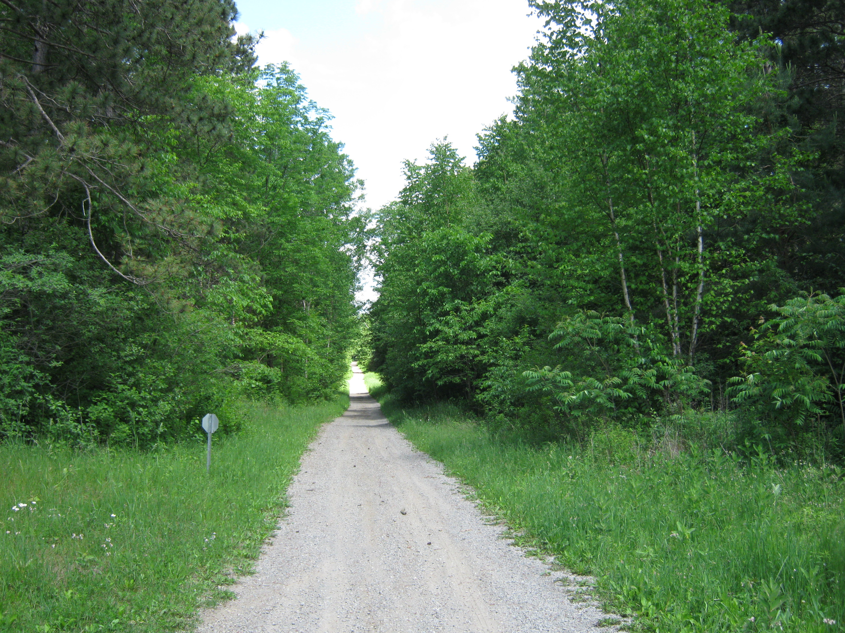 Limerick Forest Trail