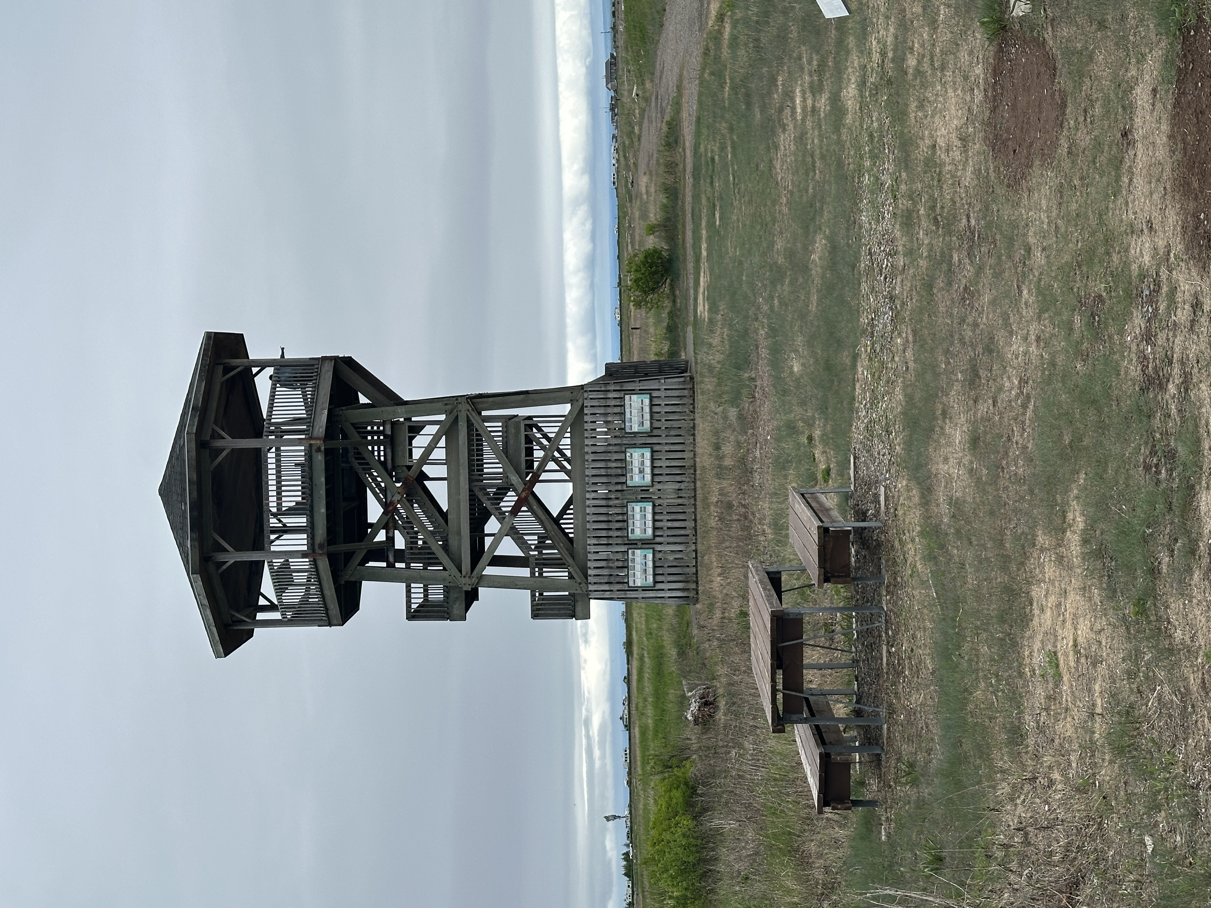 Bird Watching Tower
